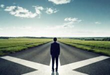 Finding Their Niche: How Lawyers Choose Their Areas of Law