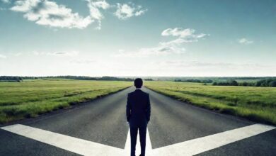 Finding Their Niche: How Lawyers Choose Their Areas of Law