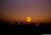 Yellow Moon in Music and Movies: An Artistic Representation