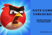 Nate Games Unblocked